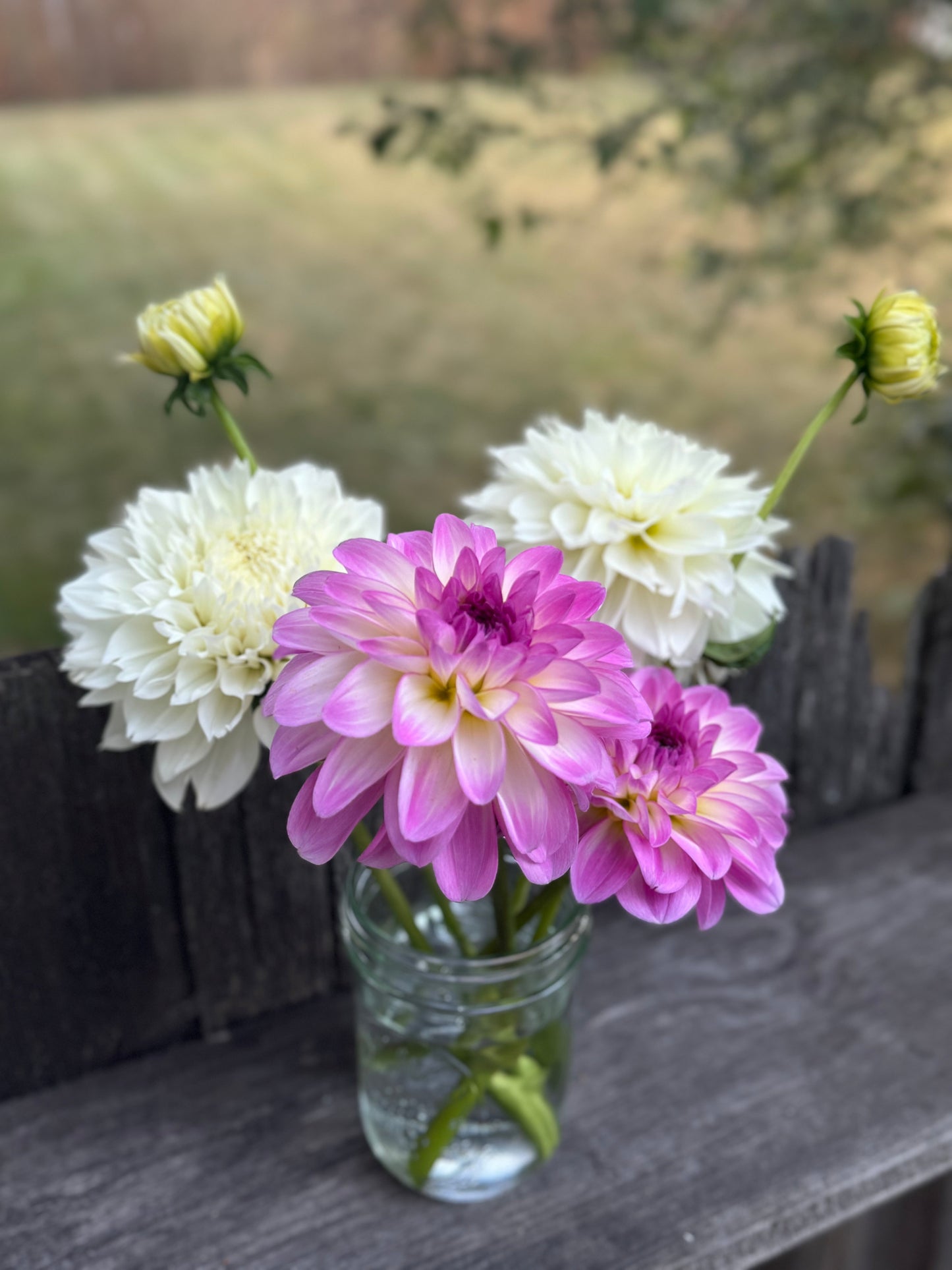 Making Your Flowers Last…