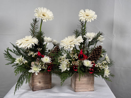 Christmas Designers Choice Arrangement