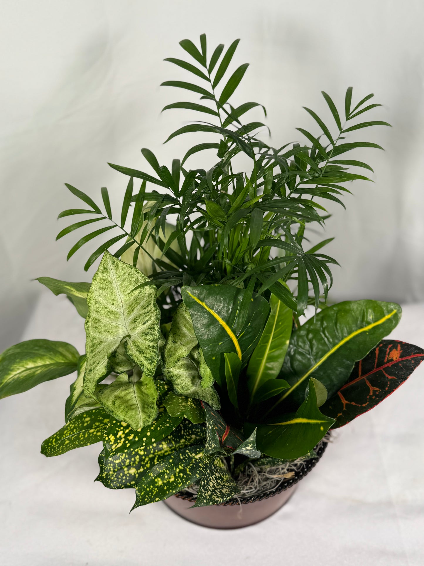 Dish Garden